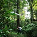 Profile Picture of Daniel Pinelli (@pinelli.daniel) on Instagram