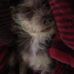 Profile Picture of Jayson Small (@jason.small.5074644) on Facebook