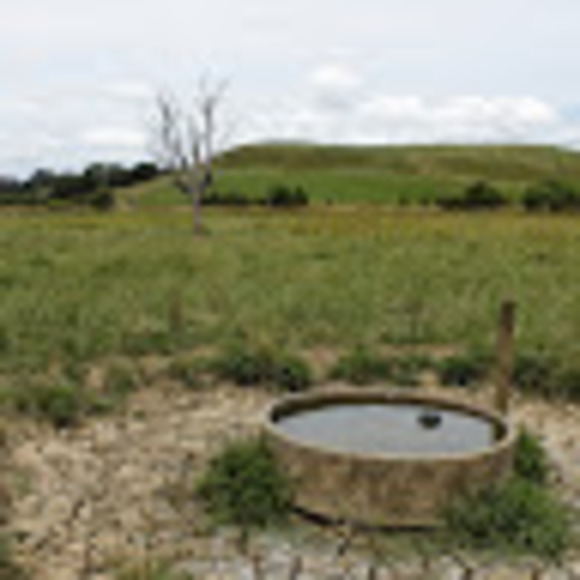 Profile Picture of Luke Runels (@lukeworlds) on Poshmark