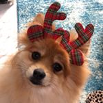 Profile Picture of Keri Schneider (@keralita13) on Instagram