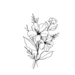 Profile Picture of 🐚casey markel🐚 (@case.ysdoodles) on Instagram