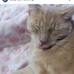 Profile Picture of Casey Bennett (@casey.bennett.1806) on Instagram