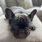 Profile Picture of Ginger Gibbs (@gin_gibbs) on Instagram