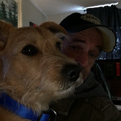 Profile Picture of Mark Niland (@NilandMark) on Twitter