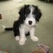 Profile Picture of Anne Reader (@anner1582) on Pinterest