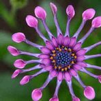 Profile Picture of Kristopher Ludwig (@Kristopher-Ludwig) on Facebook