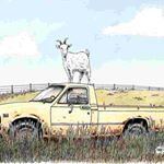 Profile Picture of Lora Blair (@happygrowluckyfarm) on Instagram