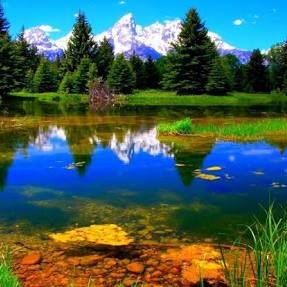 Profile Picture of Youdal (@youdal1) on Twitter