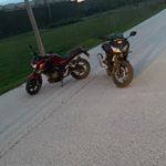 Profile Picture of Tyler Altman (@alohawiwoole.ty) on Instagram