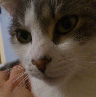 Agnes Grand - Facebook Profile Picture of Agnes Grand (@Agnes-Grand) on Facebook