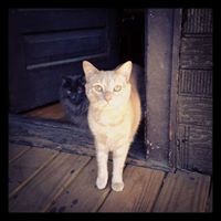 Profile Picture of Paul Rinn (@paul-rinn) on Quora