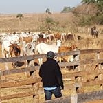 Profile Picture of Manuel Bastos (@manuelbastos) on Instagram