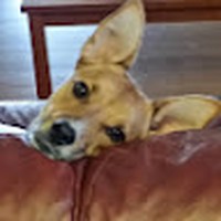 Profile Picture of Joseph Supple (@joseph-supple-7) on Quora