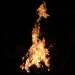 Profile Picture of Alan Tester (@alan.tester) on Instagram
