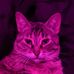 Profile Picture of Jonathan Croff (@jonathan.croff.1) on Facebook