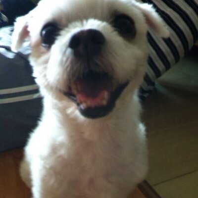 Profile Picture of Yang Jung Mo (@@cleaner_ray) on Twitter