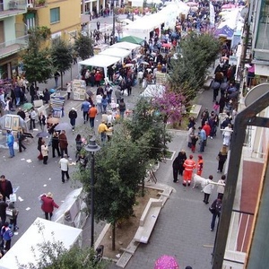 Profile Picture of Stefan Vasilev (@261381508) on Myspace