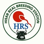Profile Picture of Hisar Real Breeding Station (@Hisar-Real-Breeding-Station) on Facebook