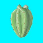 Profile Picture of Steven Edholm (@teamwachuma) on Instagram