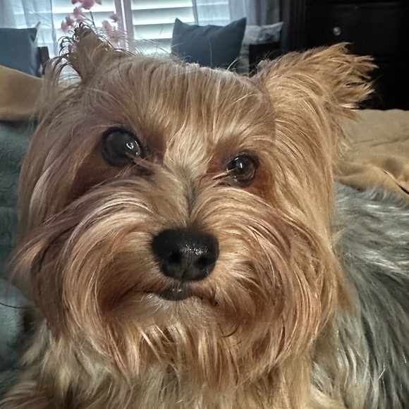 Ian Gallardo - Poshmark Profile Picture of Ian Gallardo (@nightcael) on Poshmark