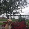 Profile Picture of Colin Nicholson (@@colinnicholson2) on Tiktok