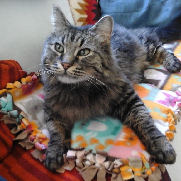 Profile Picture of Cindy Walker (@mrsw3asl3y) on Poshmark