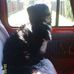 Profile Picture of Barney Bailey (@barney.bailey.7) on Facebook