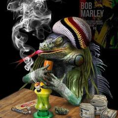 Profile Picture of James Froehlich (@james.froehlich) on Tiktok