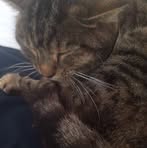 Jonathan Corcoran - Facebook Profile Picture of Jonathan Corcoran (@Jonathan-Corcoran) on Facebook