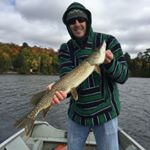 Profile Picture of Jeff Dunning (@donkey_mills) on Instagram