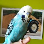 Adambroza - Instagram Profile Picture of Adambroza (@adam.broza) on Instagram