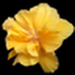 Profile Picture of Luis Arturo Martinez (@luizter) on Flickr