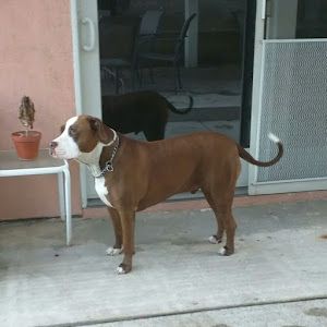 Profile Picture of David gorospe (@hawaiian1542) on Tiktok