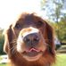Profile Picture of Mike Duman (@mike.duman.90) on Facebook