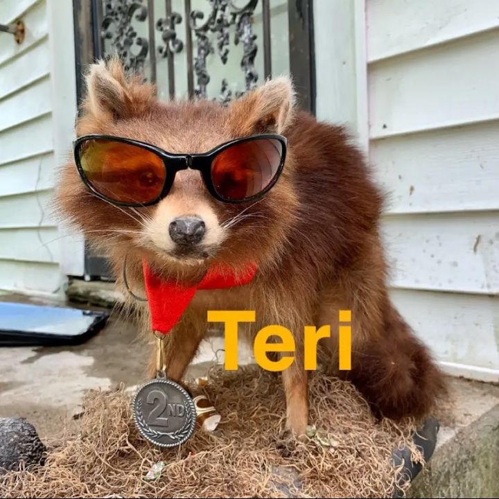 Profile Picture of Scott Detrick (@scottdetrick5) on Tiktok