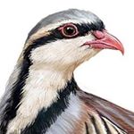 Profile Picture of Brett Madsen (@uplandutah) on Instagram