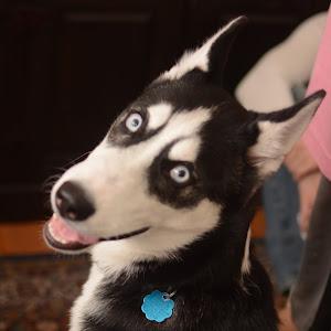 Profile Picture of Aaron Fitts880 (@bbityoshi) on Tiktok