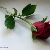 Profile Picture of Faraz Uddin (@farazuddin7188) on Youtube