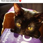 Profile Picture of Danielle Jauregui (@danielle.jauregui.1) on Facebook