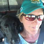 Profile Picture of Paula Ludwig Elmes (@paulaelmes) on Instagram