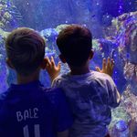 Ruki Allison - Instagram Profile Picture of Ruki Allison (@rukayaallison) on Instagram