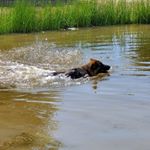 Profile Picture of Jean Richardson (@trndk9z) on Instagram