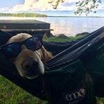 Profile Picture of David Bidle (@djbidle) on Instagram