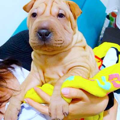 Profile Picture of Kelly Dane Pajalla (@kelzWADE) on Twitter