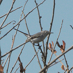 Profile Picture of Andrew Hawkins (@andrewchawkins) on Flickr