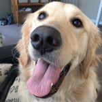 Profile Picture of Sam Krause (@sam.krause.5150) on Instagram