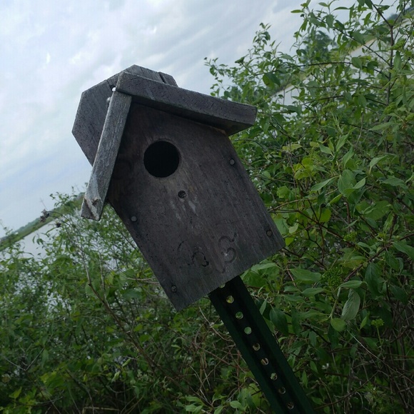 Profile Picture of Faith Scheitler (@faithscheitler1) on Poshmark