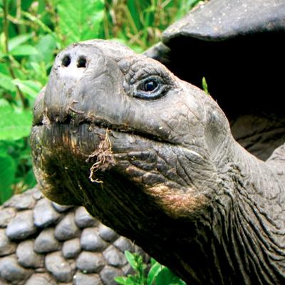 Profile Picture of Bentley Nathan (@bentleynathan1) on Twitter