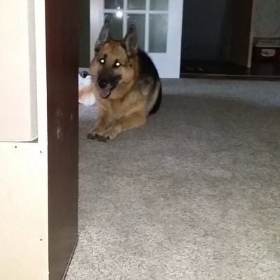 Profile Picture of Stacey (@Strawn1212) on Twitter