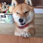 Profile Picture of 🔫DWaYnE 